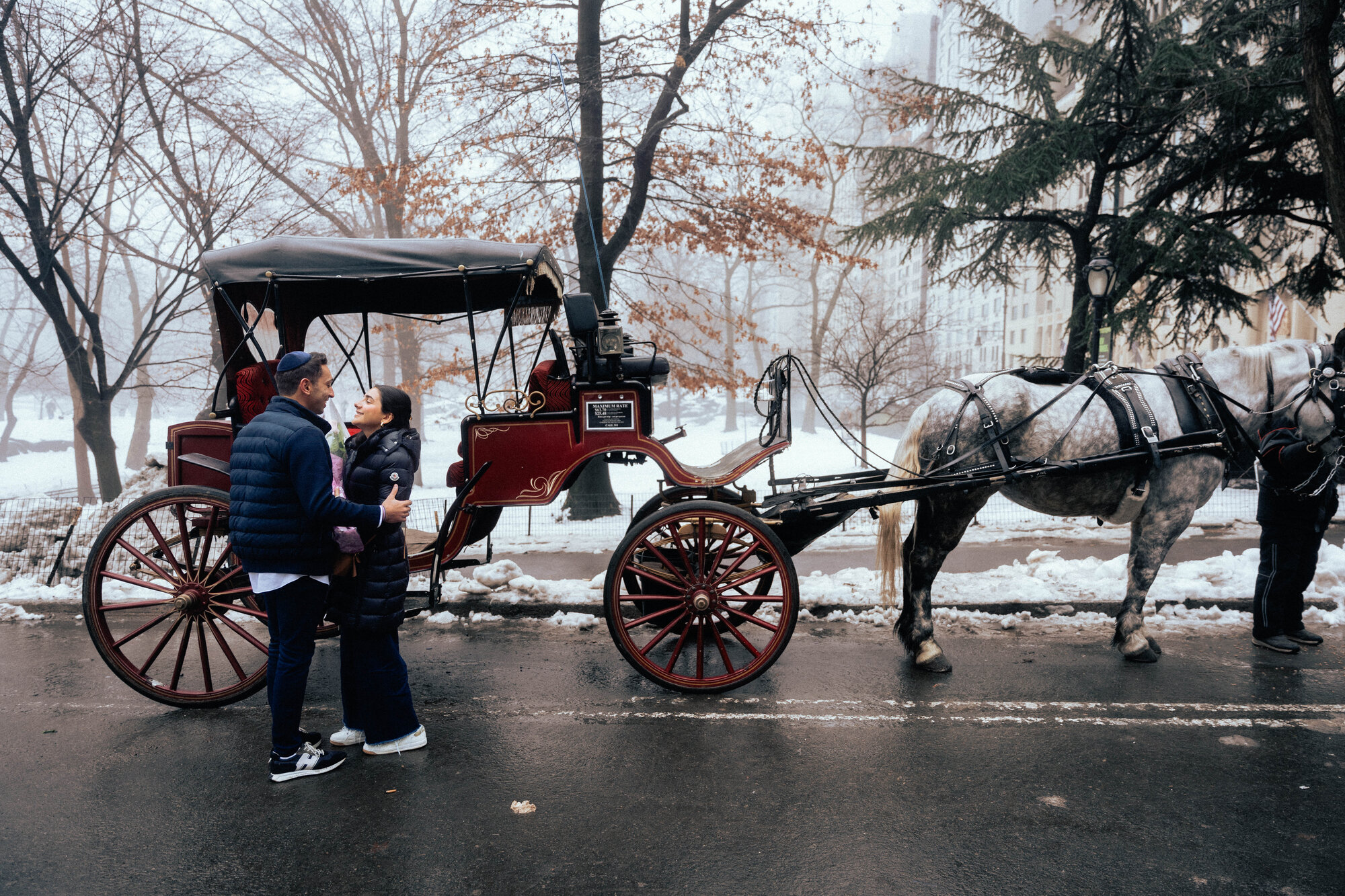 Proposal beside a horse drawn carriage on a snowy New York street